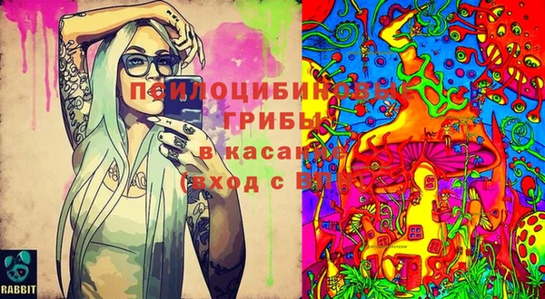 шишки Нея