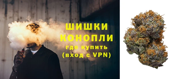 шишки Нея