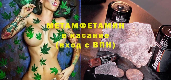 шишки Нея