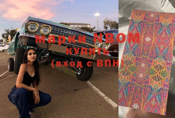 шишки Нея