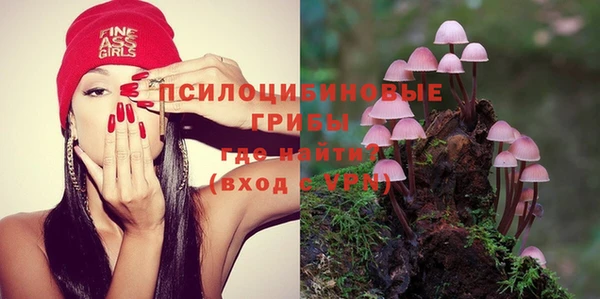 шишки Нея