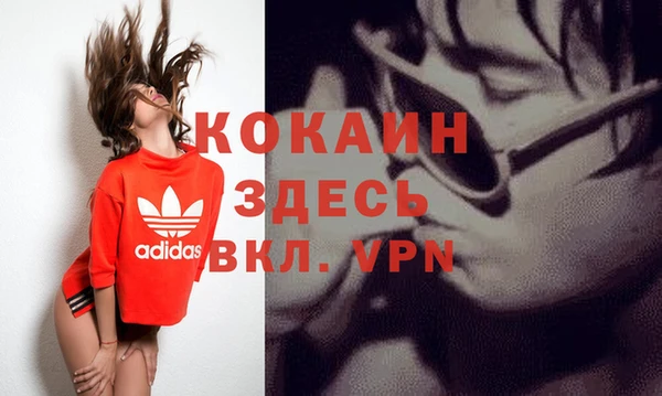 шишки Нея