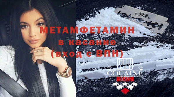 шишки Нея