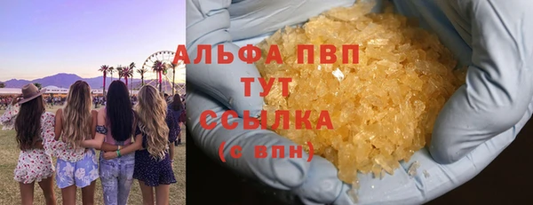 шишки Нея