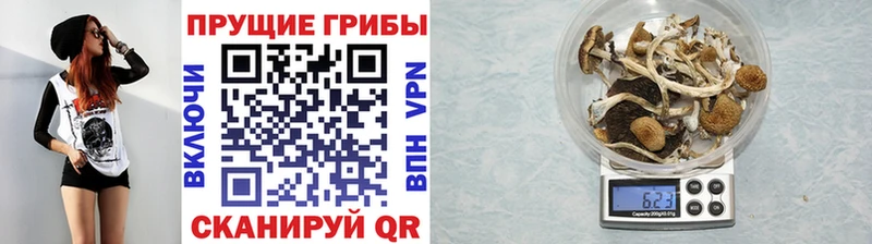 Галлюциногенные грибы мухоморы  закладки  Екатеринбург 