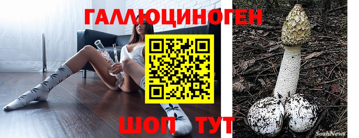 Псилоцибиновые грибы MAGIC MUSHROOMS Екатеринбург