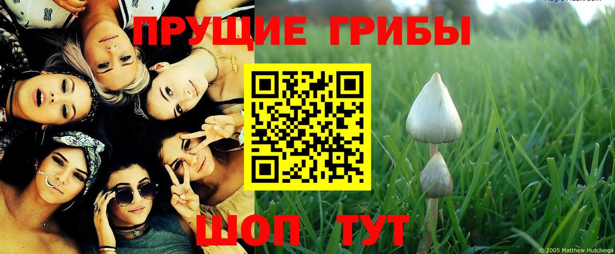Псилоцибиновые грибы мухоморы  Вход с VPN  купить наркотики сайты  Екатеринбург 